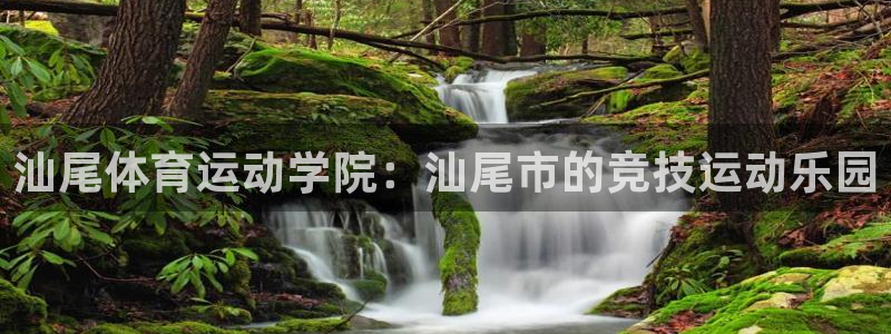 尊龙官网下载平台注册流程视频:汕尾体育运动学院:汕尾市的竞技